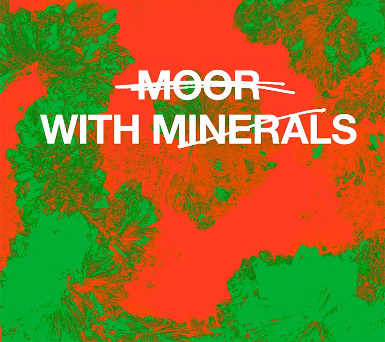 Moor with Minerals